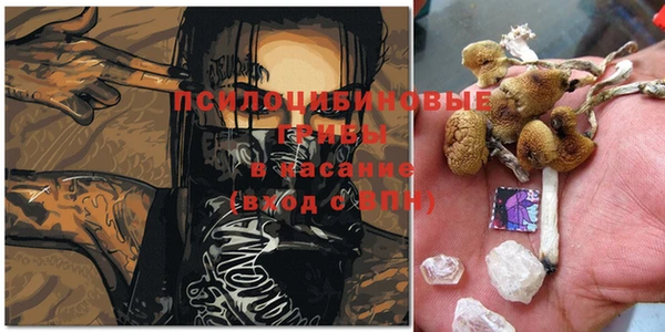 дурь Лабытнанги