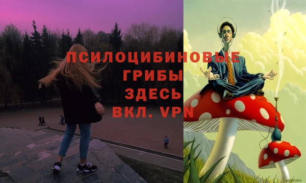 скорость Ладушкин