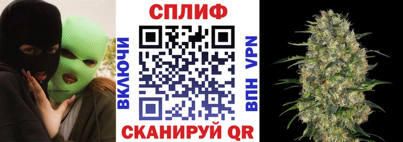 Шишки марихуана сатива  Луховицы 
